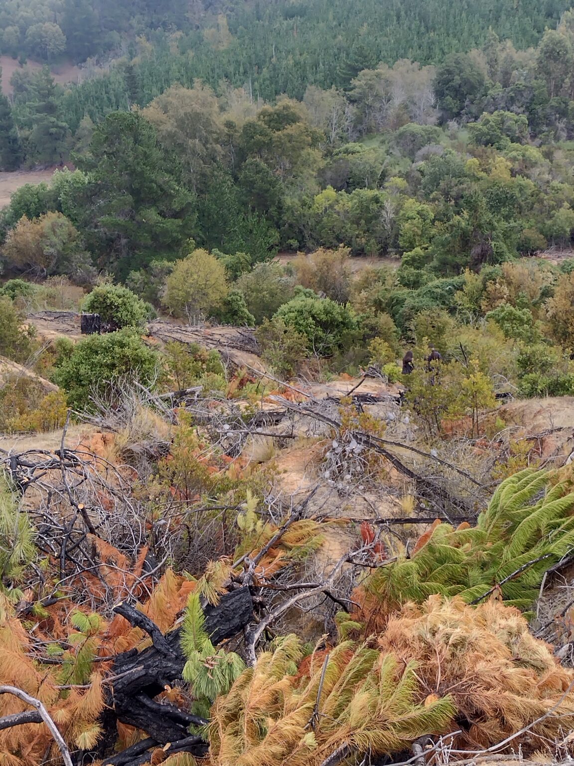 Control de Carcavas Empedrado