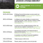 Mailing Seminario Incendios Araucania