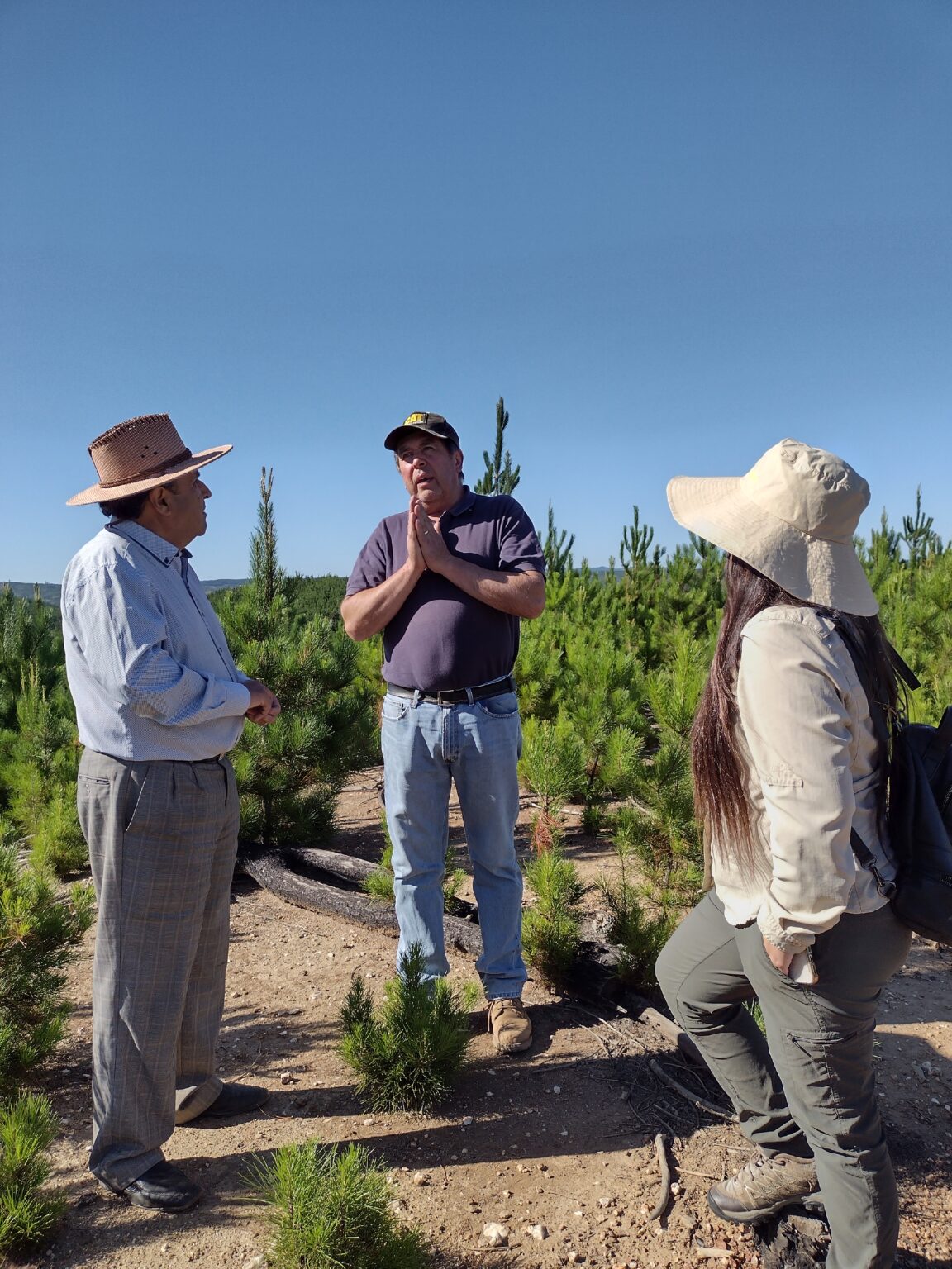 Terreno post incendios Empedrado