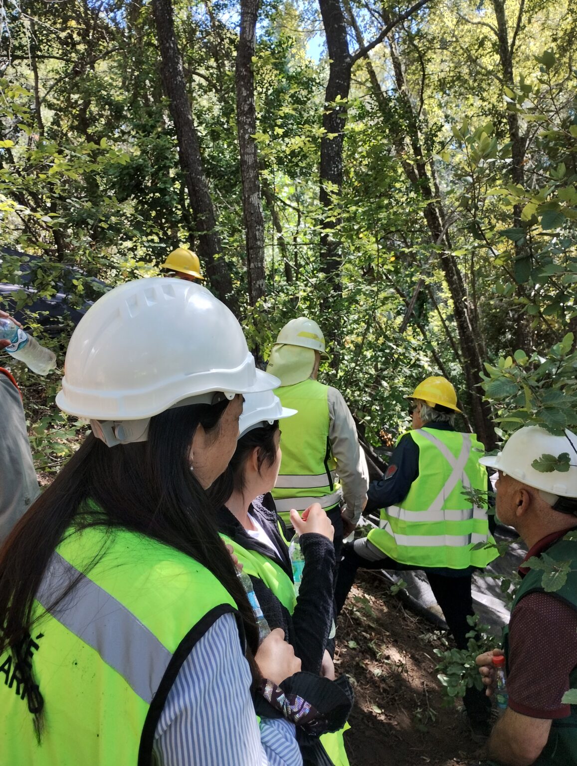 Visita a Terreno Nahuelbuta