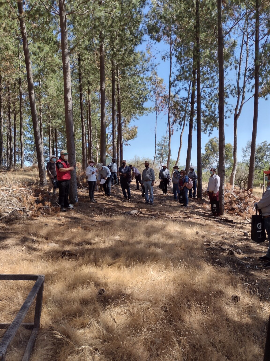 Visita a terreno propietarios Empedrado