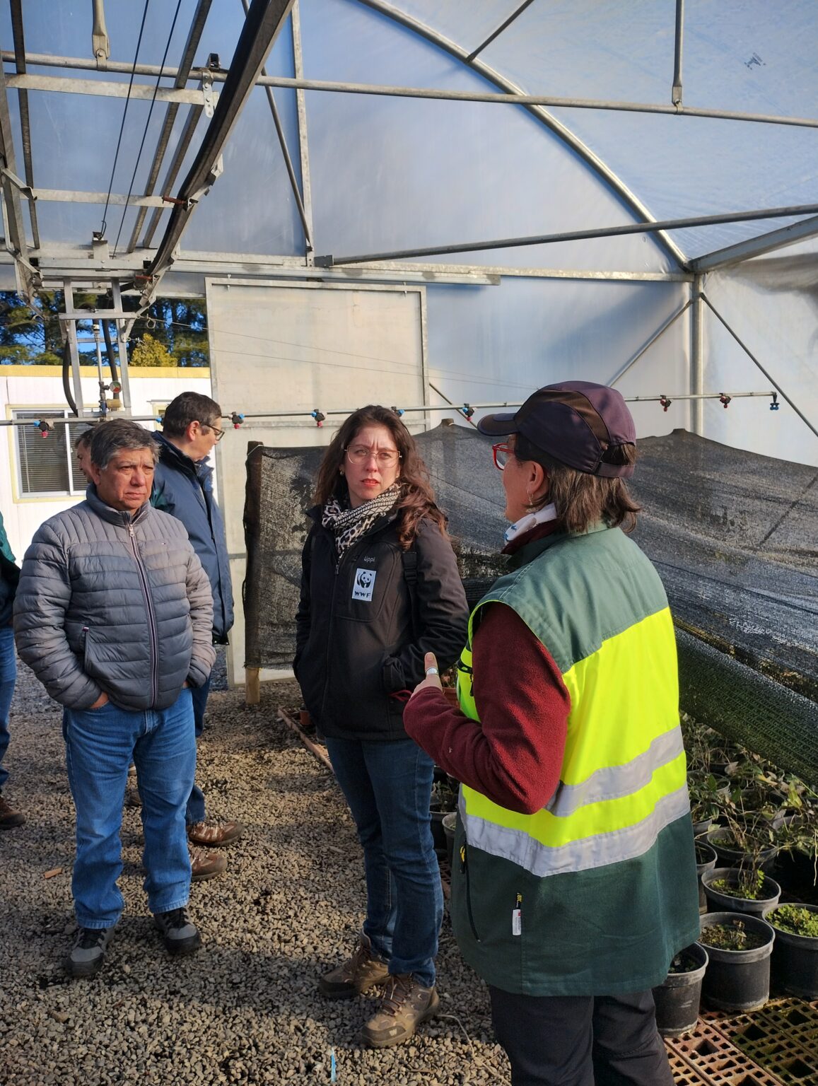 Visita a vivero Carlos Douglas CMPC