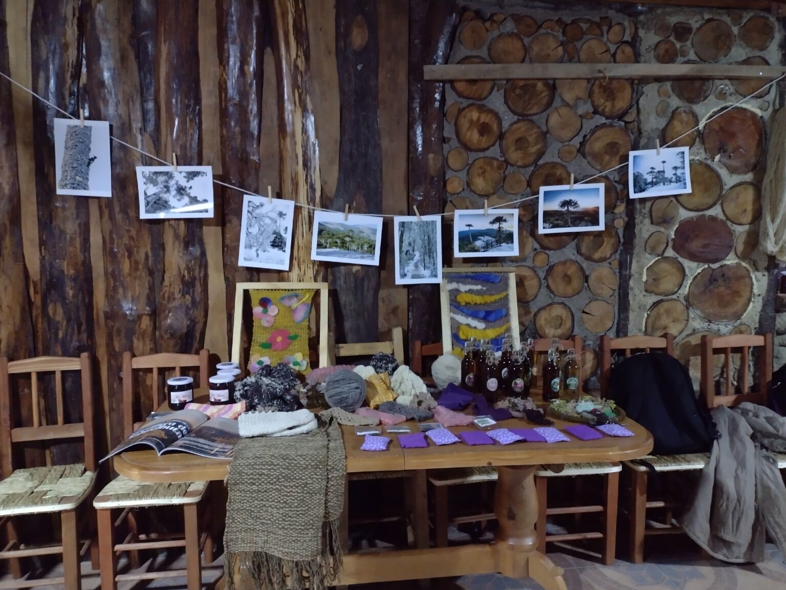 Visita empredendedoras Nahuelbuta