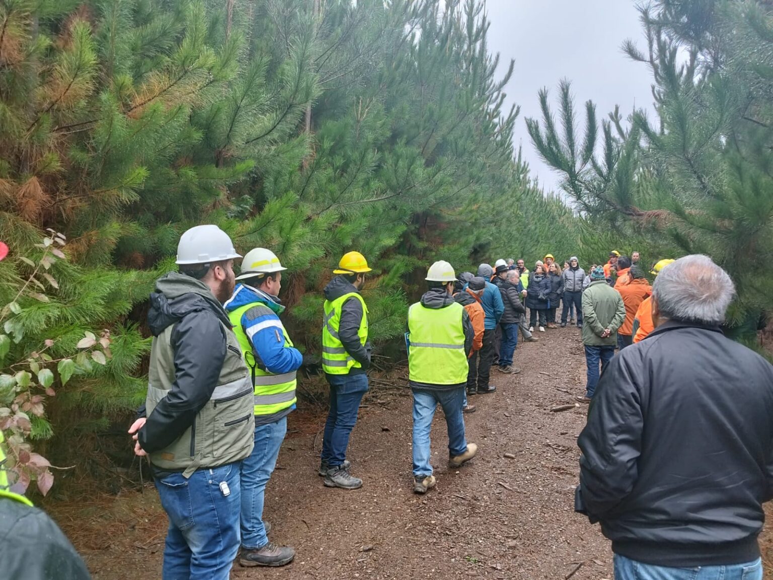 Visita multi actores post incendios 2